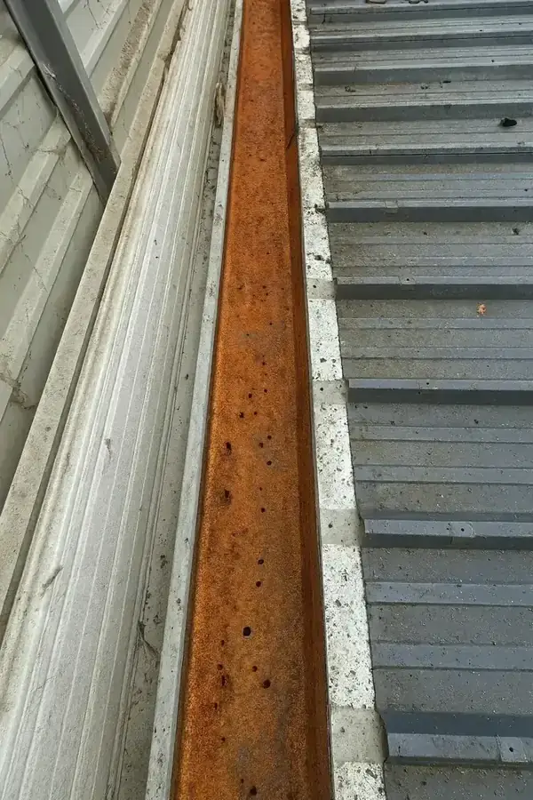 Chéneau avant intervention (exemple&nbsp;1)