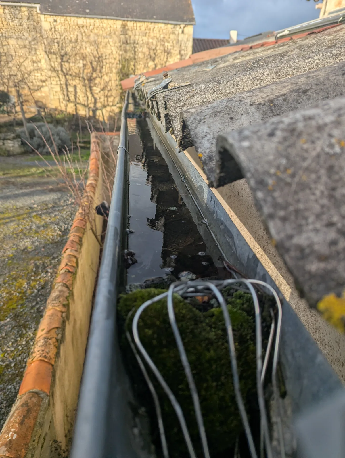 Gouttière encastrée obstruée — eau noire stagnante, végétation installée — bâti ancien Saumurois
