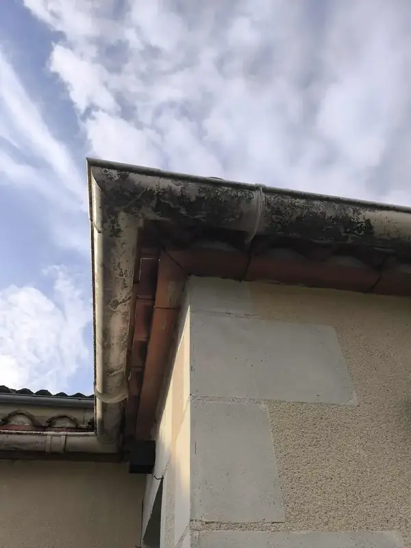 Avant remise en condition des gouttières à Val en Vignes (79290) : encrassement important et évacuation perturbée