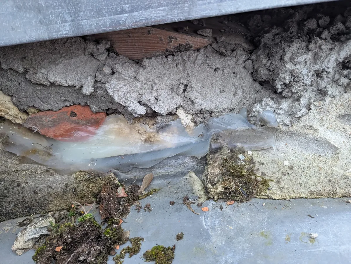 Relevé d'étanchéité dégradé en pied de mur — mortier fissuré, membrane soulevée — toit plat Saumur (49)